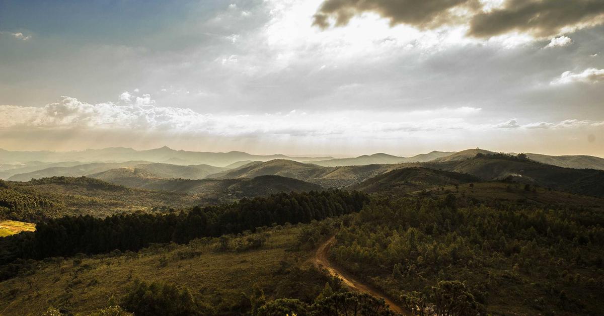 United of omaha life insurance company annuity review