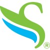 Nassau financial logo